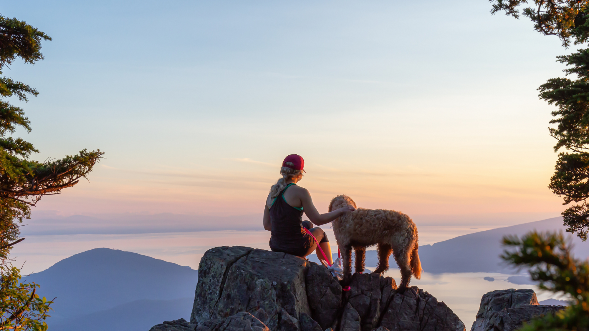 Hiking with Your Dog: A Tail-Wagging Adventure Guide