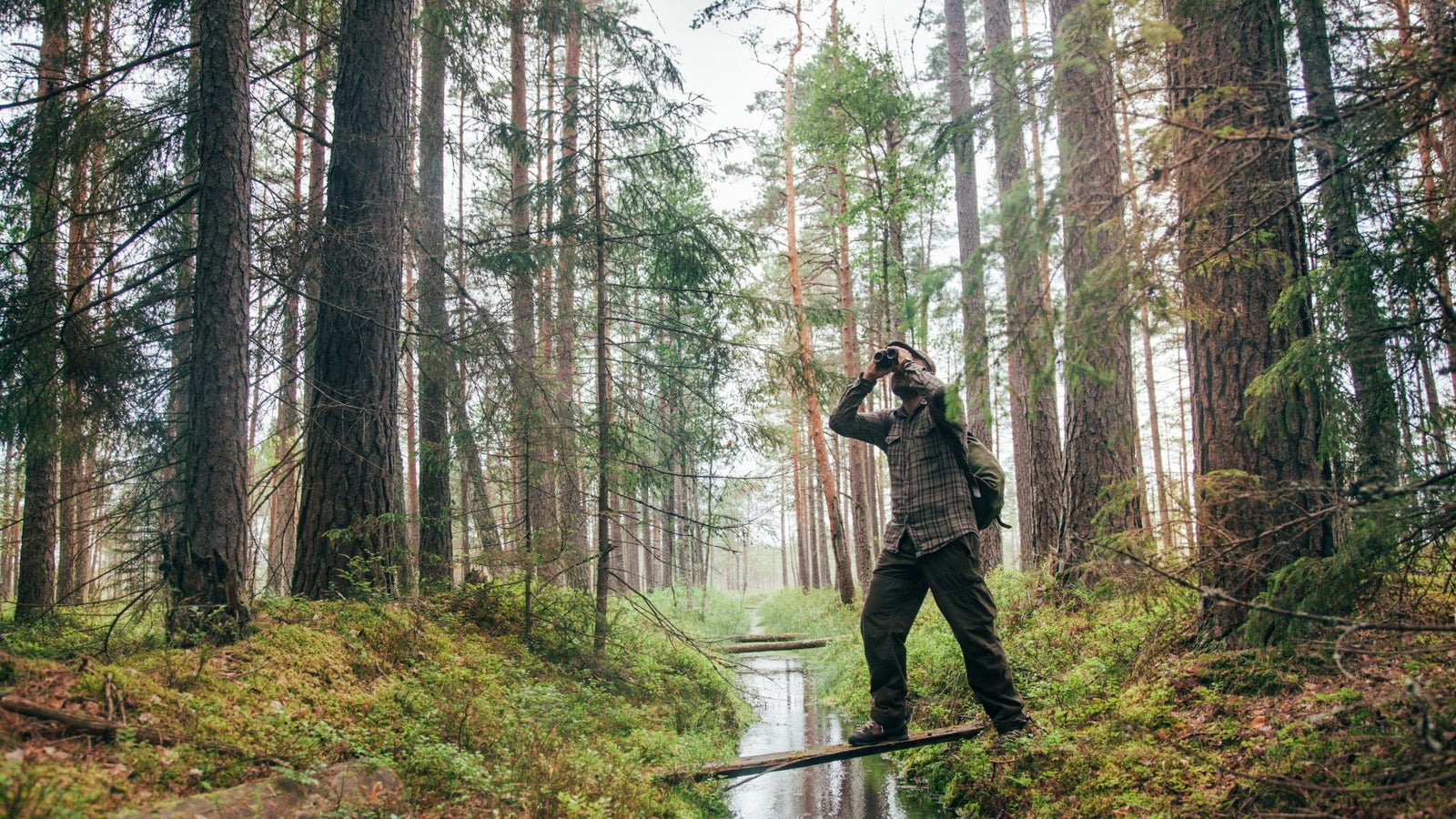 BIRDING FOR BEGINNERS