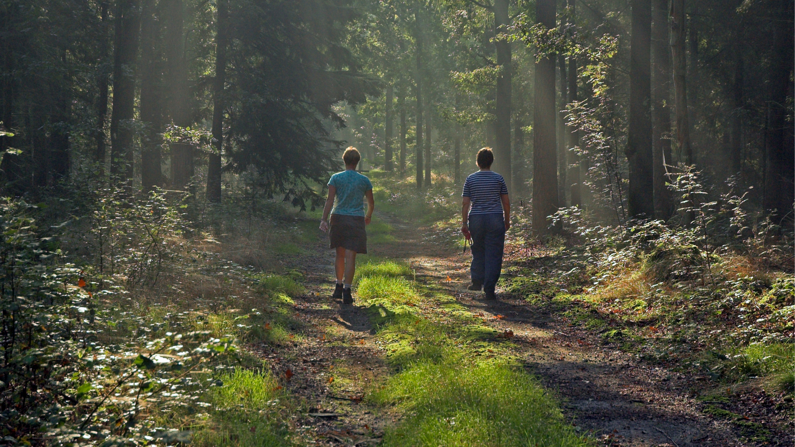 Health Benefits of Walking