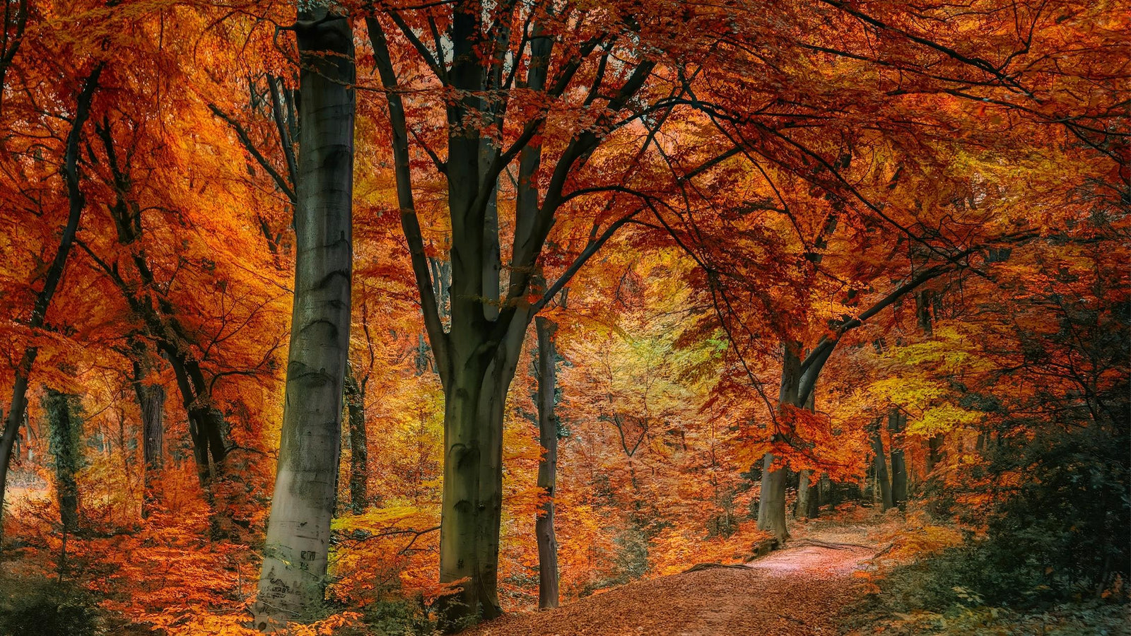 Why is Fall a Great Time to Hike?