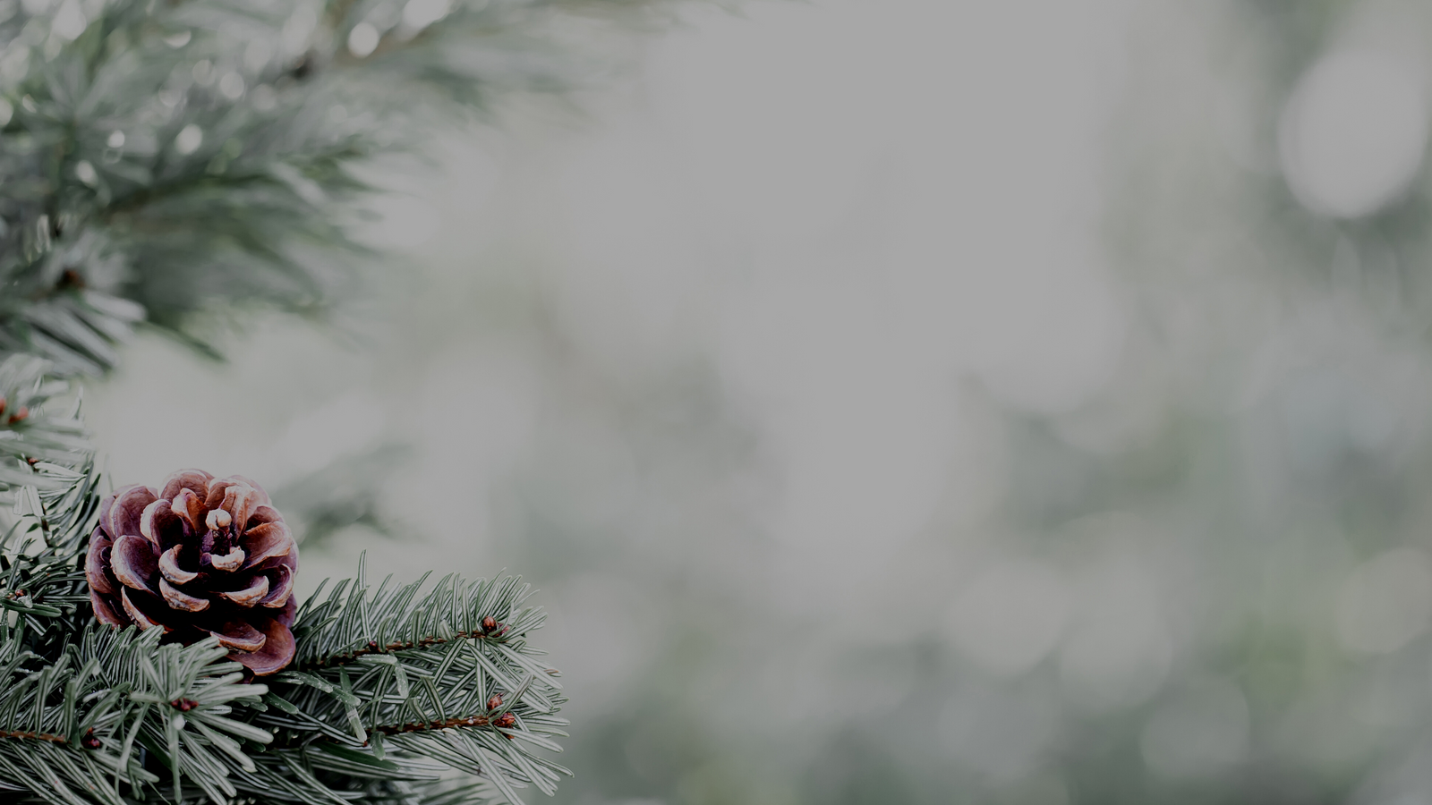 10 Incredible Gifts for Nature Lovers