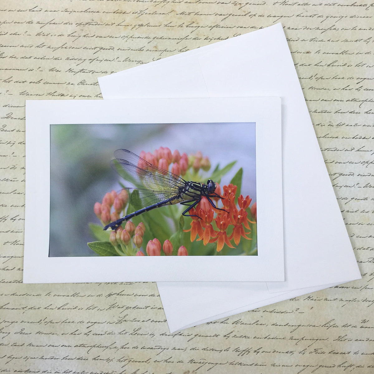 Dragonfly Photography Notecard, 5x7 Blank Greeting Card