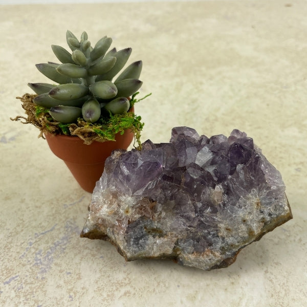 Purple Amethyst Crystal Slice