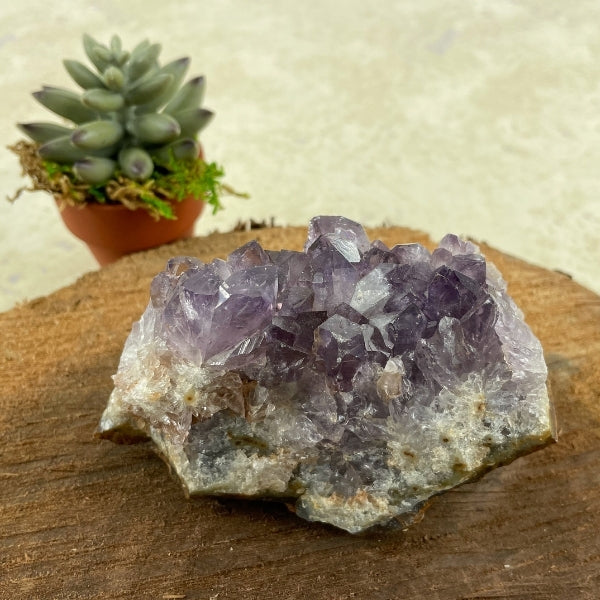 Purple Amethyst Crystal Slice