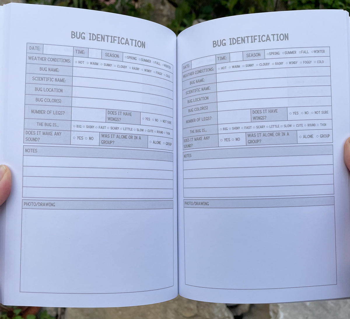 Bug Identification Log Book Journal For Kids