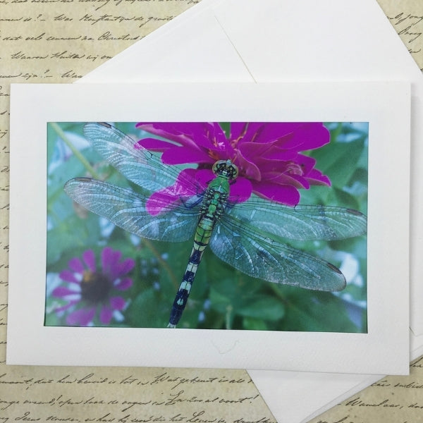Dragonfly Photography Notecard, 5x7 Blank Greeting Card