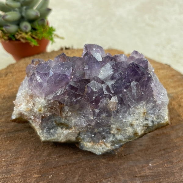Purple Amethyst Crystal Slice